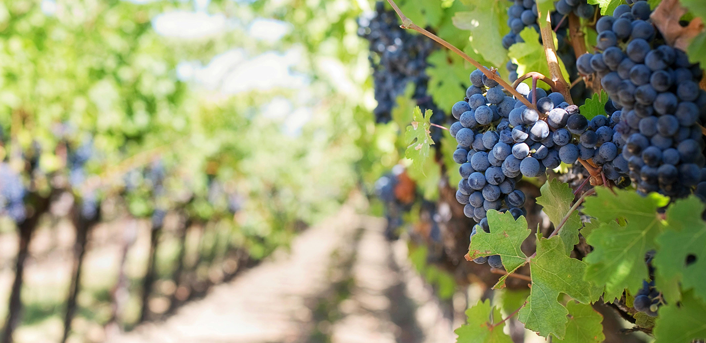 Descubre la Belleza de Europa